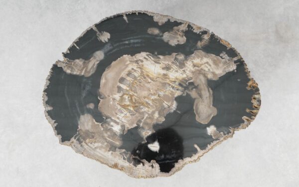 Coffee table petrified wood 51287