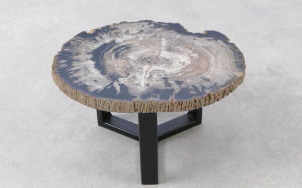 Coffee table petrified wood 51288