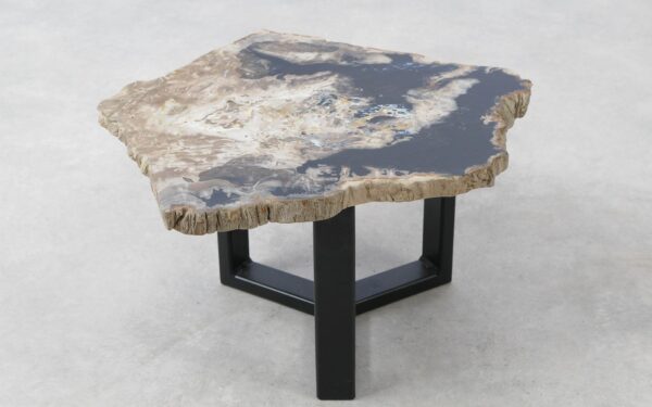 Coffee table petrified wood 51290