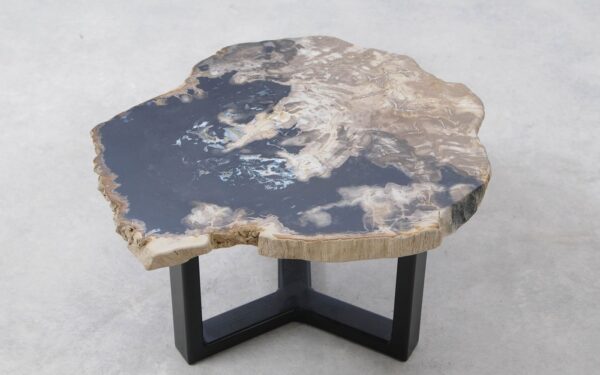 Coffee table petrified wood 51291