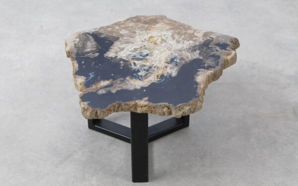 Coffee table petrified wood 51292