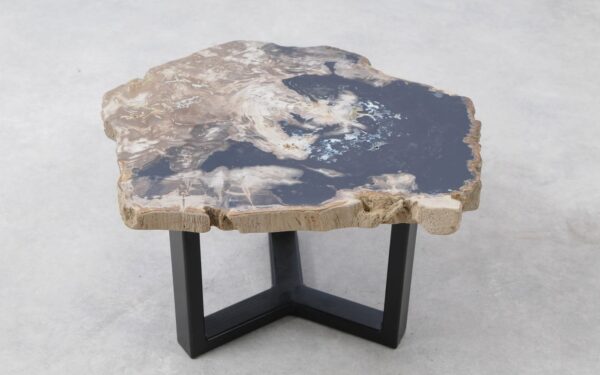 Coffee table petrified wood 51293