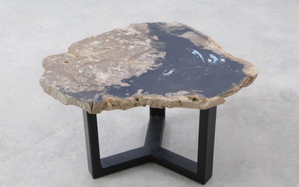 Coffee table petrified wood 51294