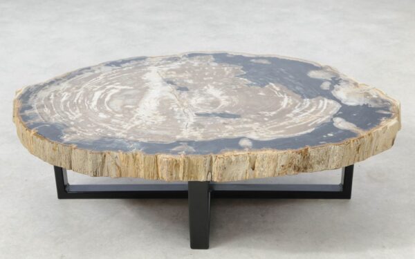 Coffee table petrified wood 51297