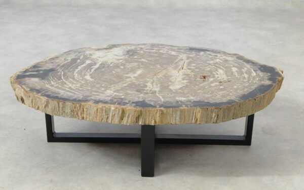 Coffee table petrified wood 51298