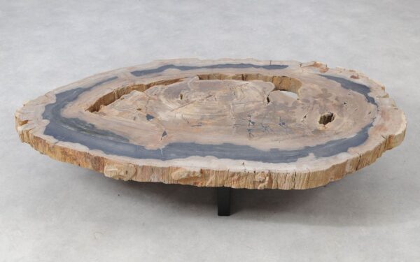 Coffee table petrified wood 51337