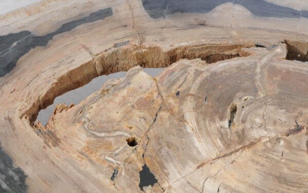 Coffee table petrified wood 51337