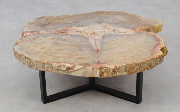 Coffee table petrified wood 52186