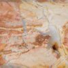 Coffee table petrified wood 52186