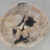 Coffee table petrified wood 52187