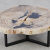 Coffee table petrified wood 52187
