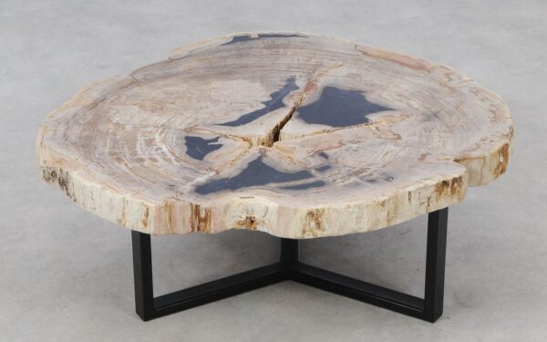 Coffee table petrified wood 52187