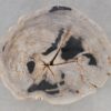 Coffee table petrified wood 52188