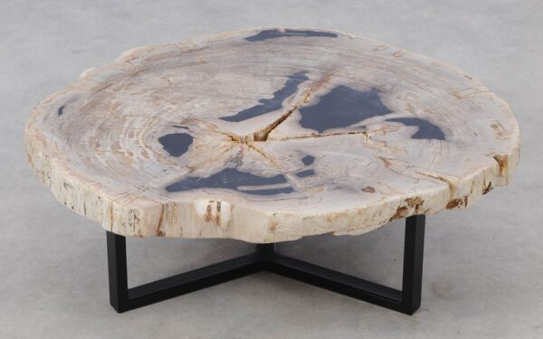 Coffee table petrified wood 52188