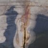Coffee table petrified wood 52188