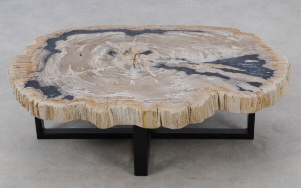 Coffee table petrified wood 52189