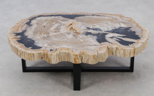 Coffee table petrified wood 52190