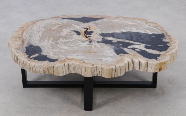 Coffee table petrified wood 52191