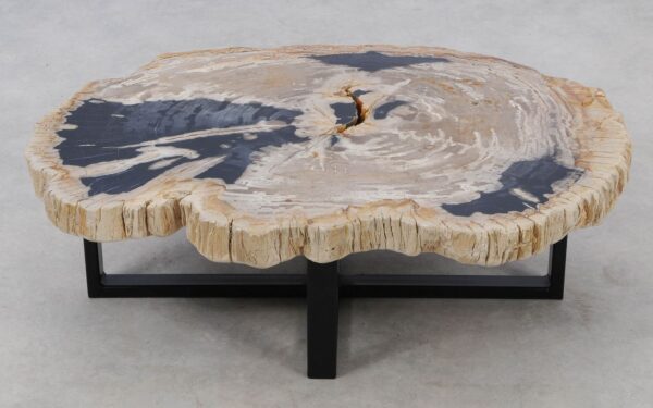 Coffee table petrified wood 52192