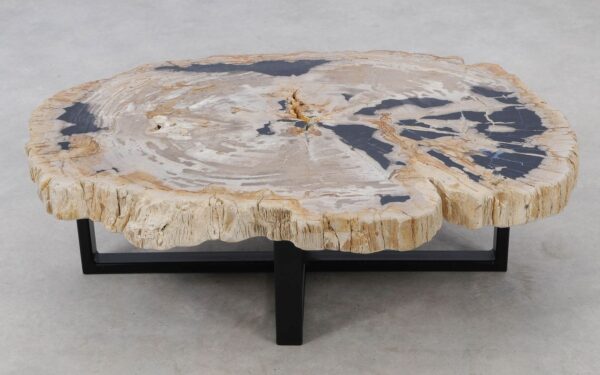 Coffee table petrified wood 52193