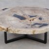 Coffee table petrified wood 52195