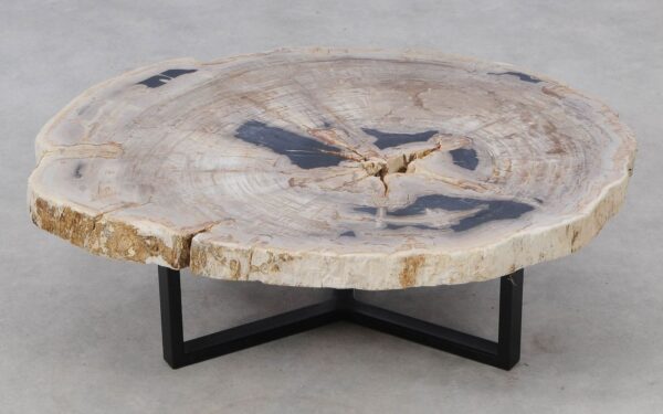 Coffee table petrified wood 52195