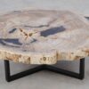 Coffee table petrified wood 52197