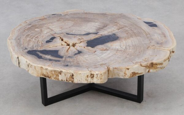 Coffee table petrified wood 52197