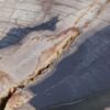 Coffee table petrified wood 52197