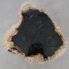 Coffee table petrified wood 52199