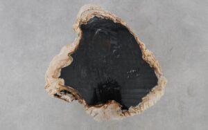 Coffee table petrified wood 52199