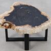 Coffee table petrified wood 52199