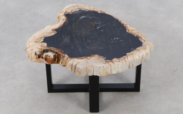 Coffee table petrified wood 52199