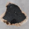 Coffee table petrified wood 52200