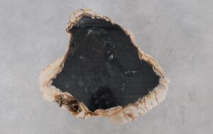 Coffee table petrified wood 52200