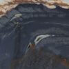 Coffee table petrified wood 52200
