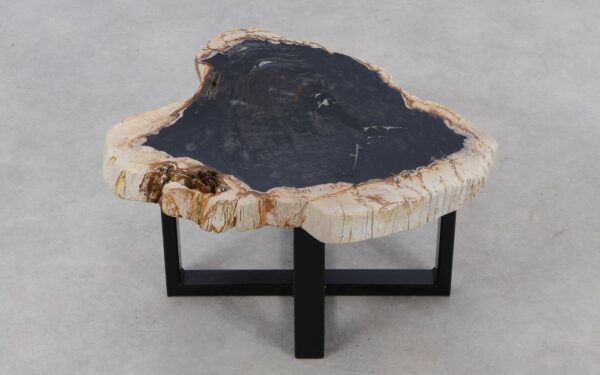 Coffee table petrified wood 52200