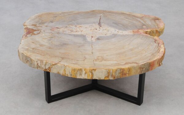 Coffee table petrified wood 52201