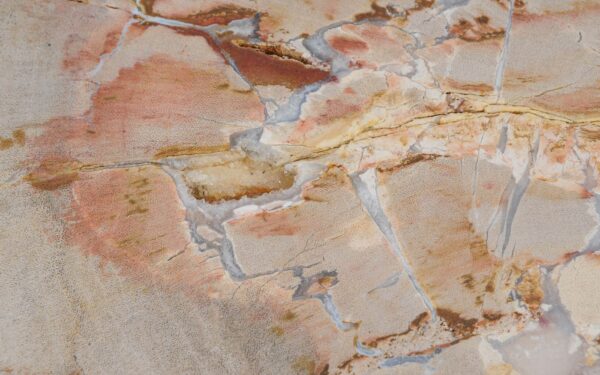 Coffee table petrified wood 52201