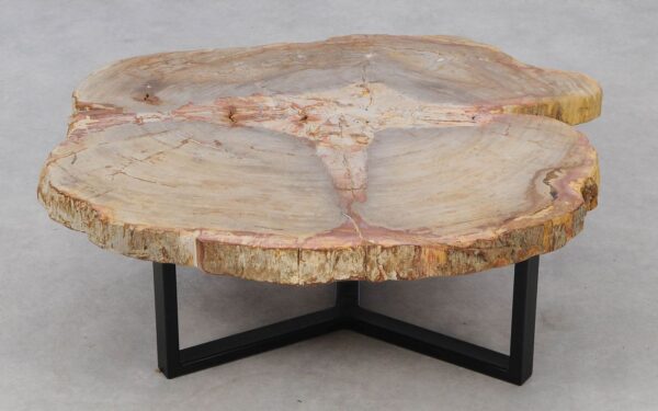 Coffee table petrified wood 52202