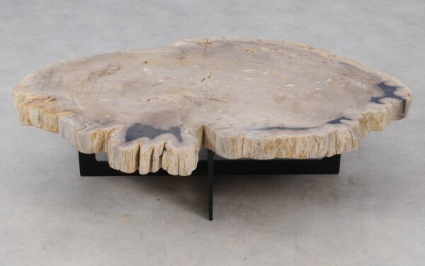 Coffee table petrified wood 52203