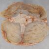 Coffee table petrified wood 52208
