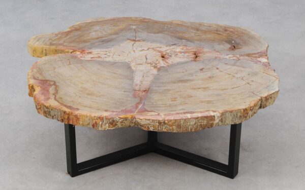 Coffee table petrified wood 52208