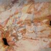 Coffee table petrified wood 52208