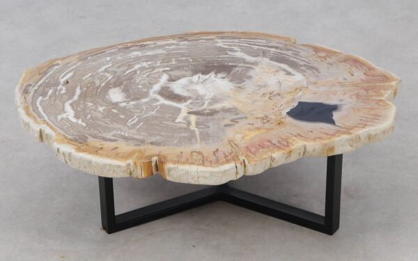 Coffee table petrified wood 52211