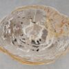 Coffee table petrified wood 52212