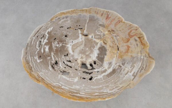 Coffee table petrified wood 52212