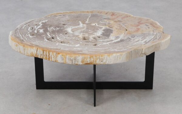 Coffee table petrified wood 52212