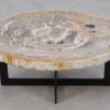 Coffee table petrified wood 52214