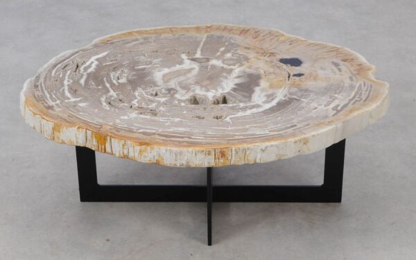 Coffee table petrified wood 52214